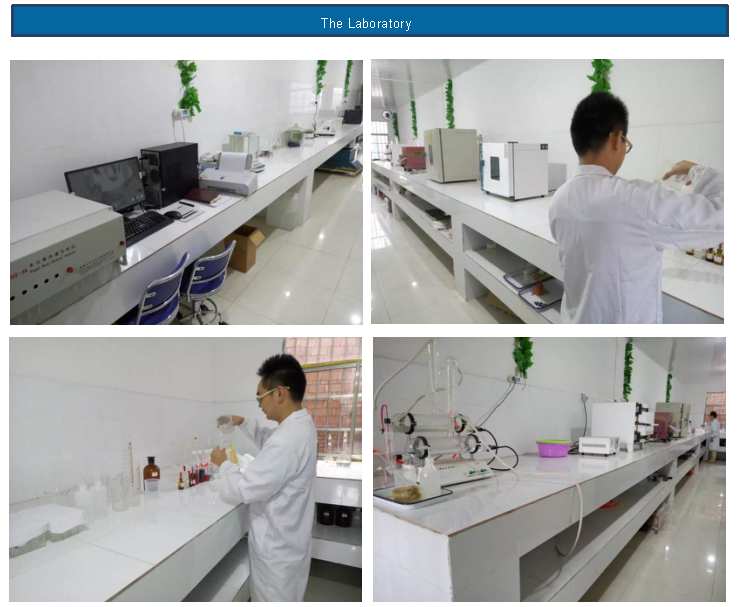 1489022773556133.png 1489022773556133.png